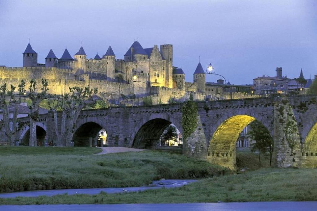 Maison Sur Les Hauteurs De Carcassonne Extérieur photo